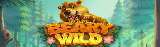 Deposit and Free Spins Promotions on Beary Wild